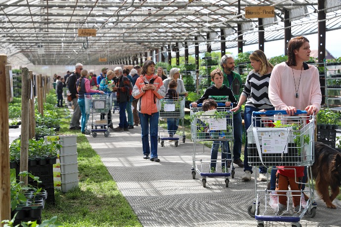 Marché plantons Zollinger