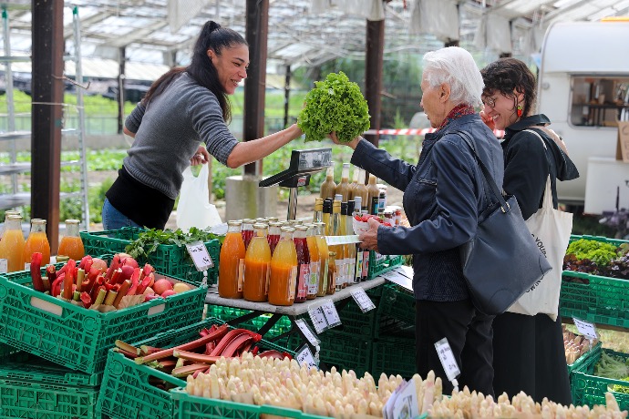 Marché plantons Zollinger Bio