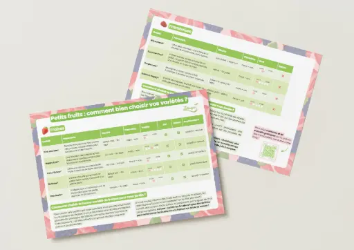 Comparatif des variétés de petits fruits. Comparatif des variétés de petits fruits.