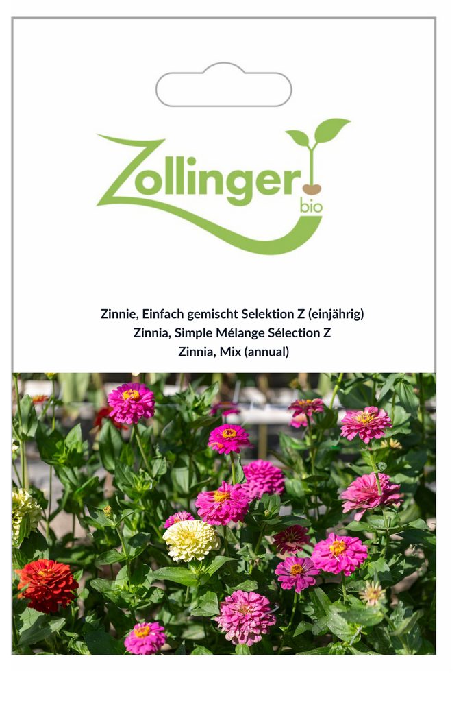 Sachet recto Zinnia, Simple Mélange Sélection Z