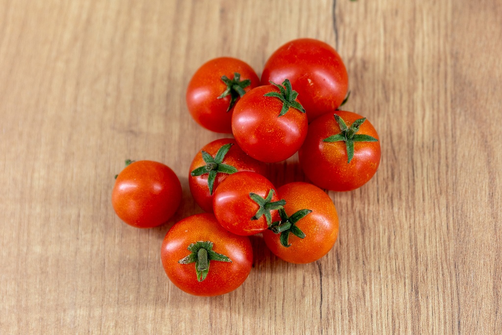 Bio-Tomatensetzling 'Balconia'