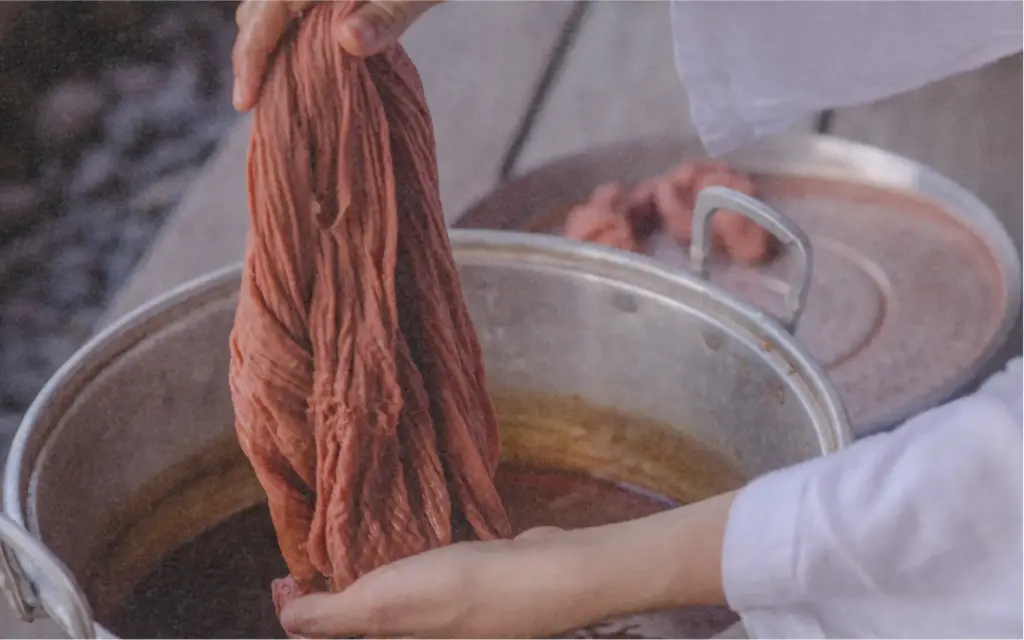 Set di semi "Erbario dei tintori"