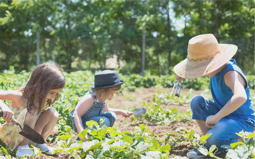 Seed set "Mini-gardener"