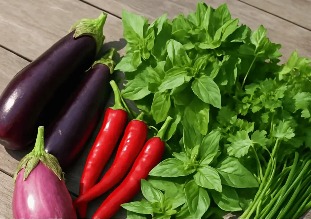 7 vegetable & herb seedlings 'Asian Flavours'