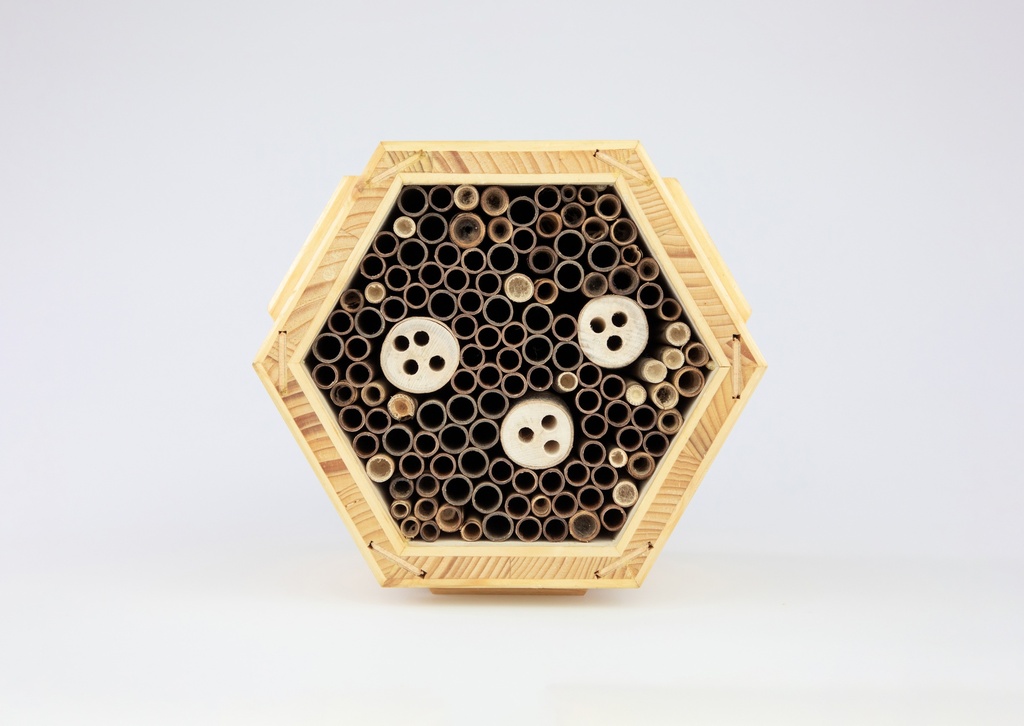 Hôtel à insectes: abeilles sauvages