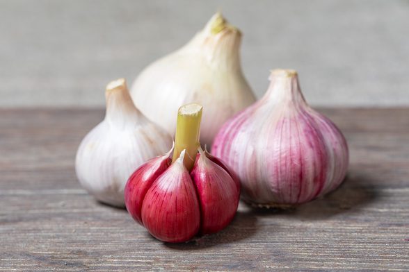 Knoblauch 'Morado'