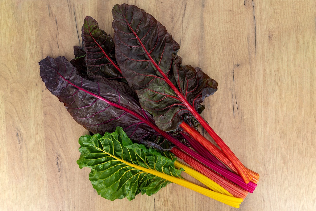 Organic seedling of Swiss chard, multicolour ‘Surprise’