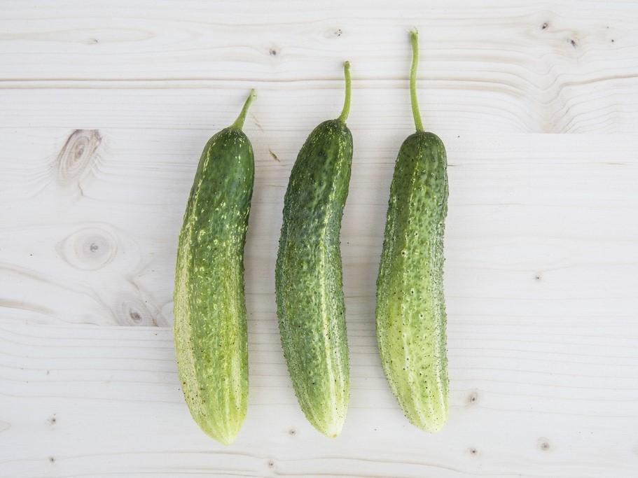 All vegetable seeds / Cucumbers, Gherkins / Cornichons, Gherkins