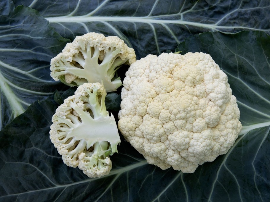 All vegetable seeds / Brassicas / Cauliflower