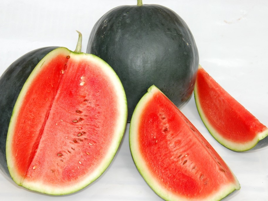 All vegetable seeds / Melons, Watermelons / Water melon