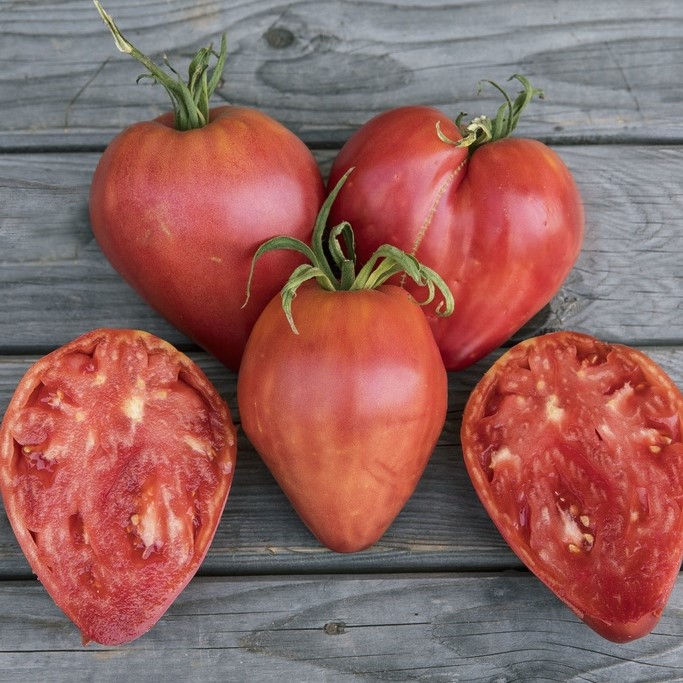 All vegetable seeds / Tomatoes / Fleshy  tomatoes
