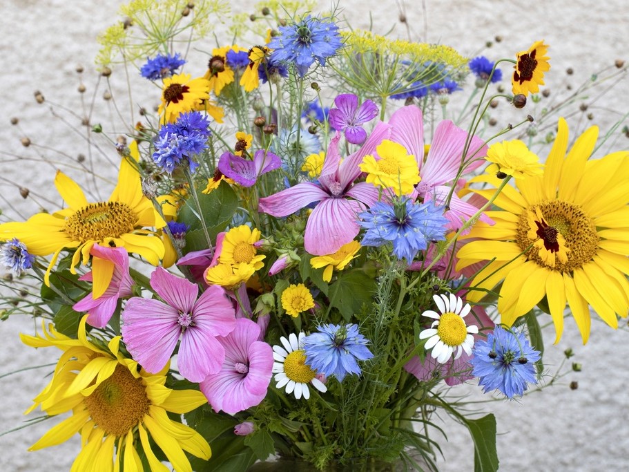Graines de fleurs / Mélanges de fleurs / Mélanges mellifère
