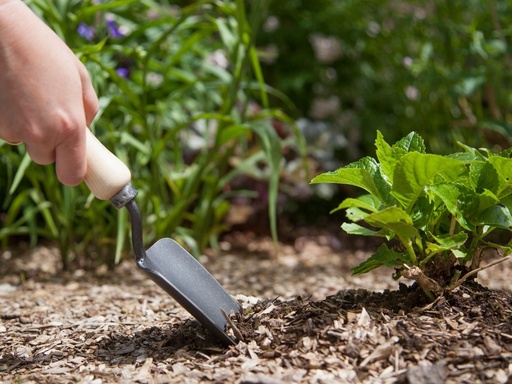 Accessoires pour plantons